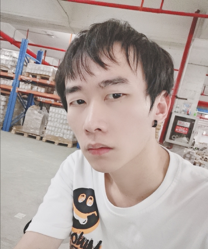 巷子里的猫的第一张照片--光泽相亲网