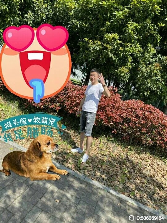 我若不坚强谁替我勇敢的第一张照片--光泽相亲网